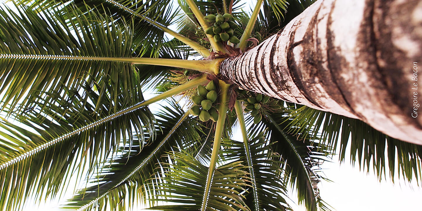 Society Islands & Tuamotus